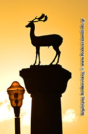  Η Ρόδος στο ίντερνετ, τα πάντα για τη Ρόδο