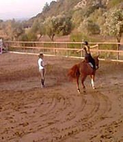 Κέντρο Εκπαιδεύσεως Ιππασίας Ρόδου
