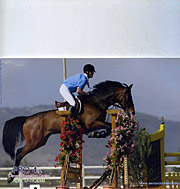 Κέντρο Εκπαιδεύσεως Ιππασίας Ρόδου