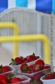 Ρόδος Κατάλογος