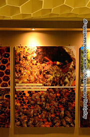 Ρόδος Μουσείο της Μέλισσας